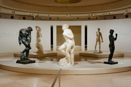 michel-ange_rodin_corps_vivants_musee_du_louvre0009_-_copie